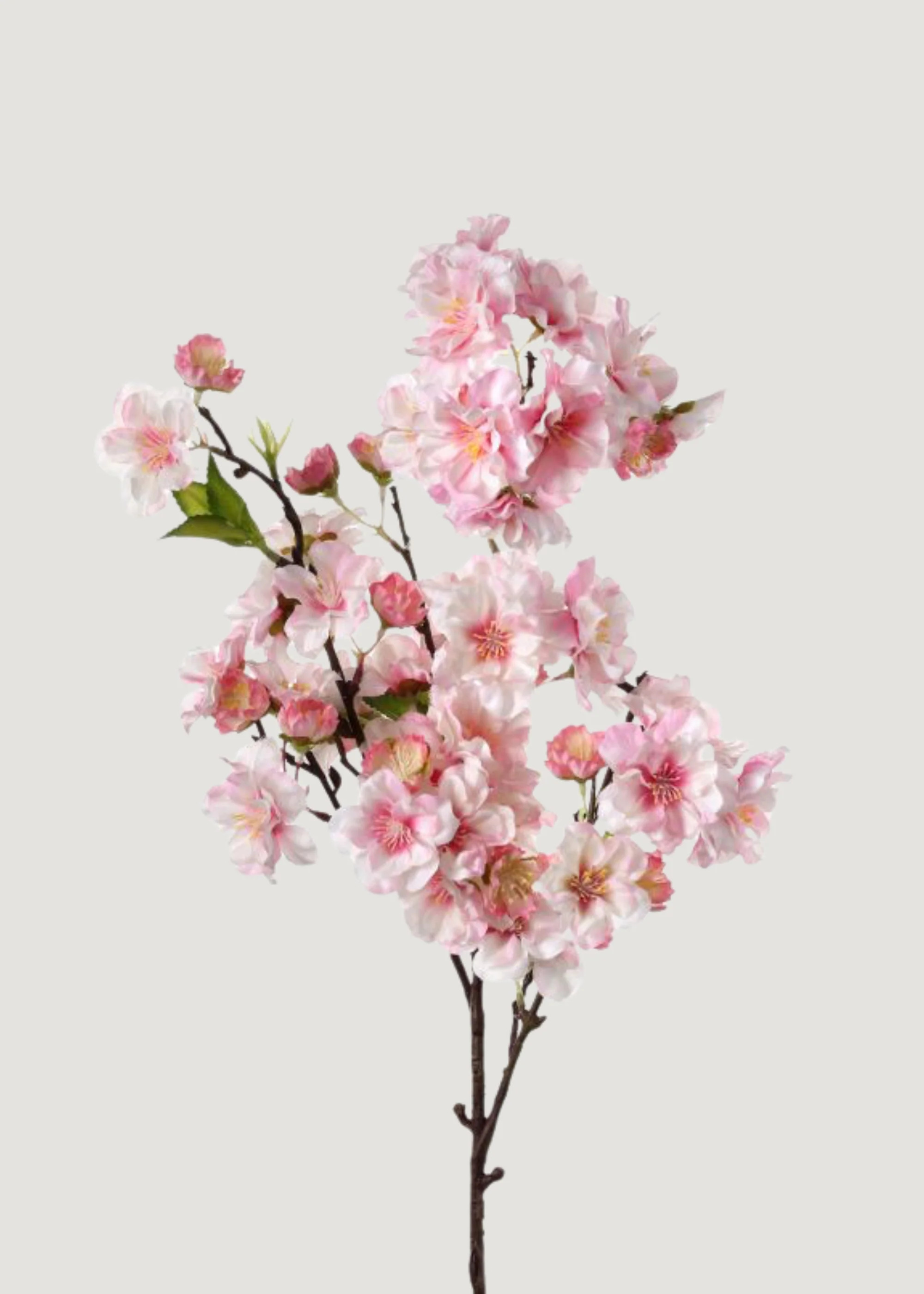Pink Cherry Blossom Pick | Faux Spring Botanicals | Afloral | Afloral