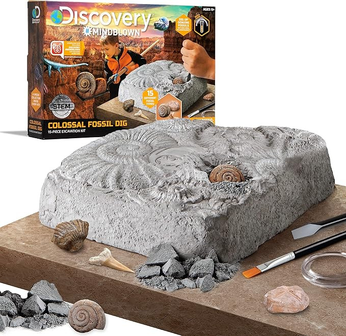 Discovery Colossal Fossil Dig Set, 15-Piece Archeology Excavation Kit, Uncover Real Shark Teeth a... | Amazon (US)