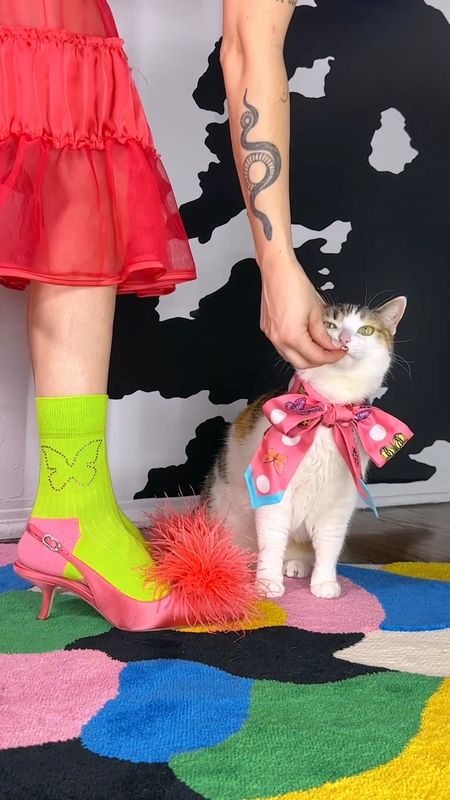 snack time 🐟🐱✨💖 

Champagne wears red, white and black, knee-high, motorcycle motocross, high heel boots with hot pink, black heart, yoga, athletic leggings, pony wears a Kate Spade, checkered, red pink, black handkerchief scarf bandanna. In the second look champagne wears lime, green rhinestone socks with pink salmon, kitten heels, feather, puff, accent, feather, with a red pink lace maxi skirt, pony wears a butterfly, beetle, neck, Versace scarf, and the final look champagne wears Steve Madden, velvet butterfly wedges with lace, black and magenta bow sheer socks, pony wears a black and pink purple necktie.

Dopamine dressing, maximalist, Maximalism, vibrant, colorful cat matching set

#LTKparties #LTKVideo #LTKshoecrush
