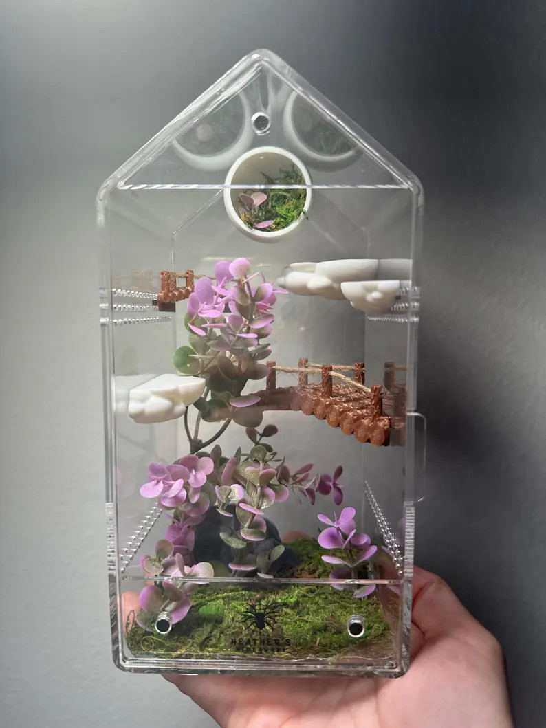 Purple nature enclosure | Etsy (Global)