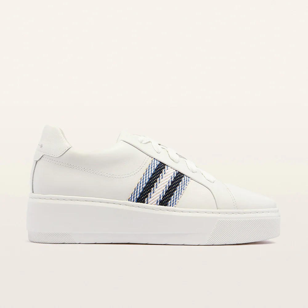 Riley II White/Blue Sneakers | FRANKIE4 | FRANKIE4