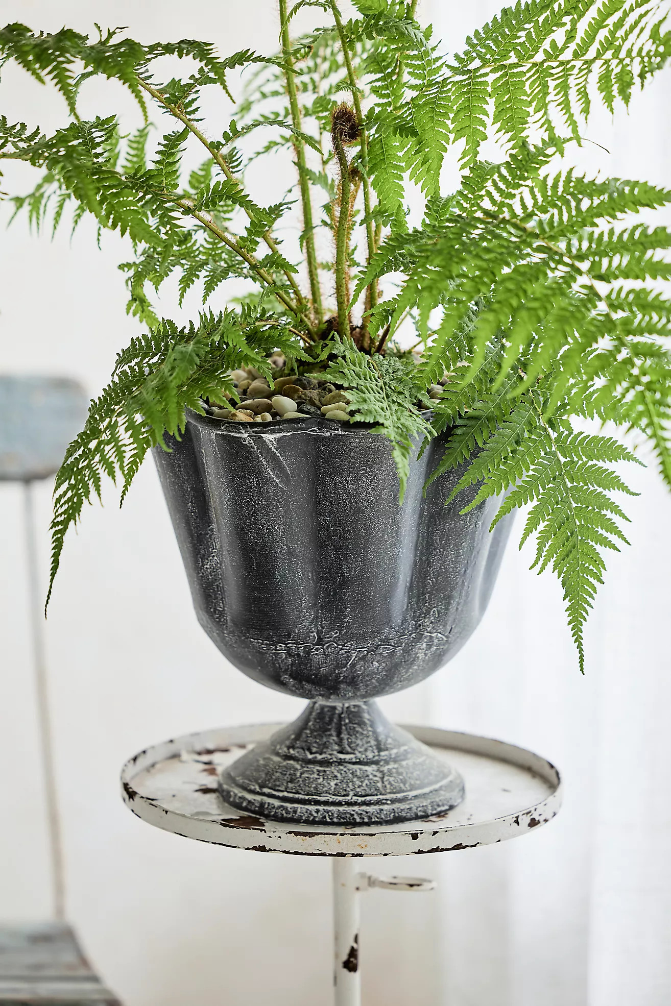 Ridged Iron Urn | Terrain