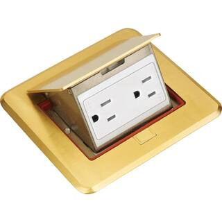 NEWHOUSE ELECTRIC Pop-Up Floor Outlet, Electrical Box for Wood Sub-Flooring with 15 Amp TR Duplex... | The Home Depot