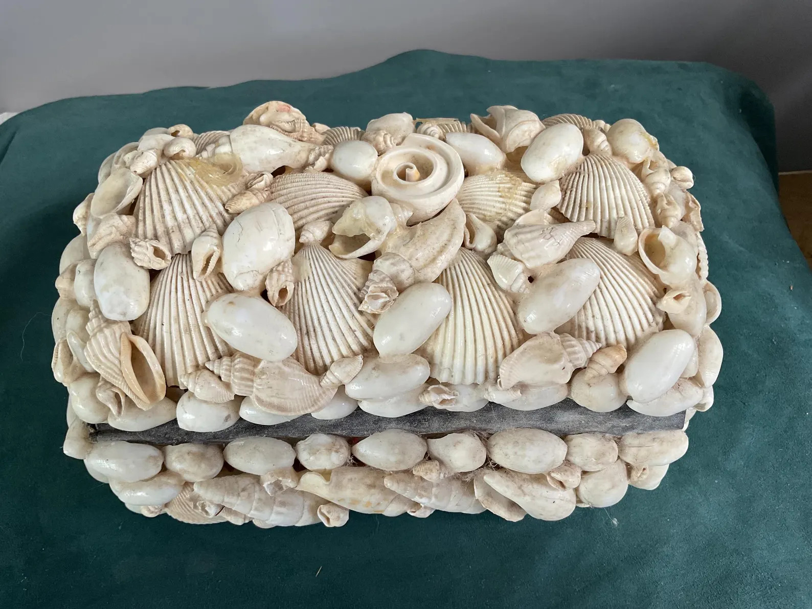 Handmade  White Sea shells  jewelry box domed top | Etsy (Global)