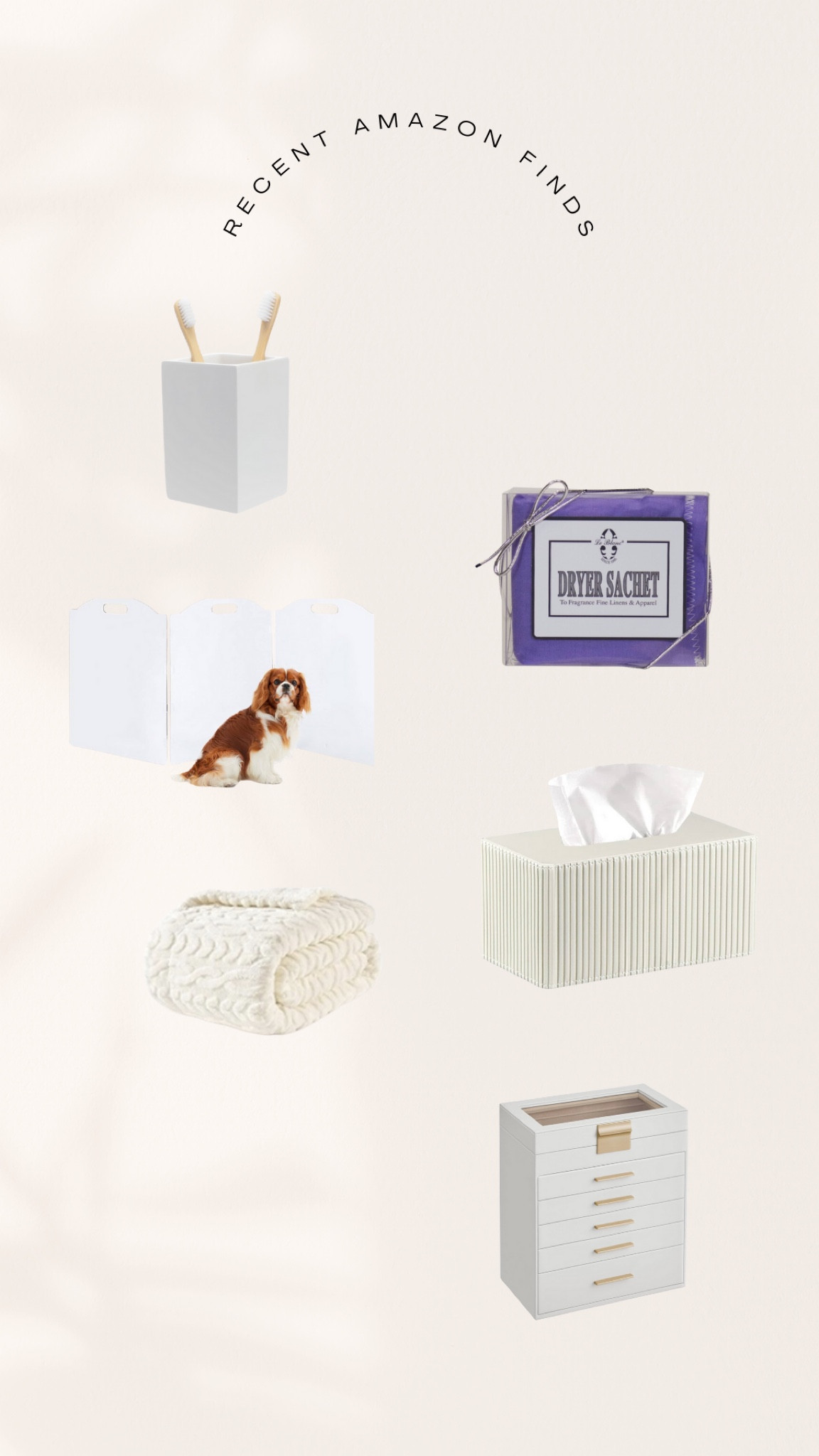 recent fun home amazon finds

#LTKHome #LTKFindsUnder50 #LTKFindsUnder100