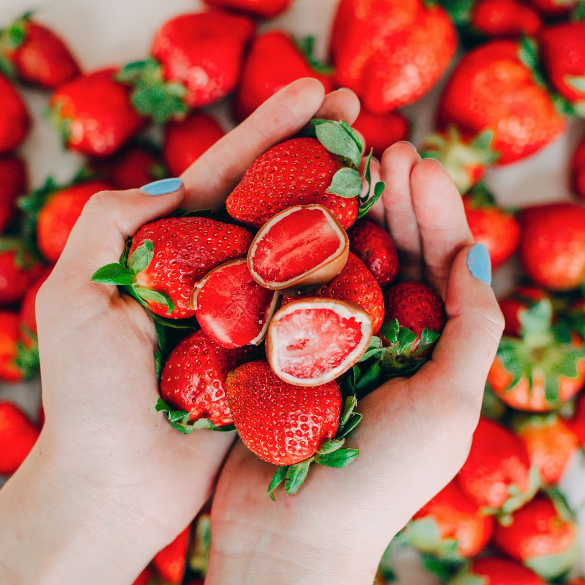 Tru Fru White and Milk Chocolate Frozen Strawberries - 8oz | Target