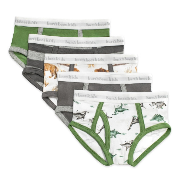 Happy Herbivores & Lions Organic Cotton Toddler Boy Underwear 5 Pack | Burts Bees Baby