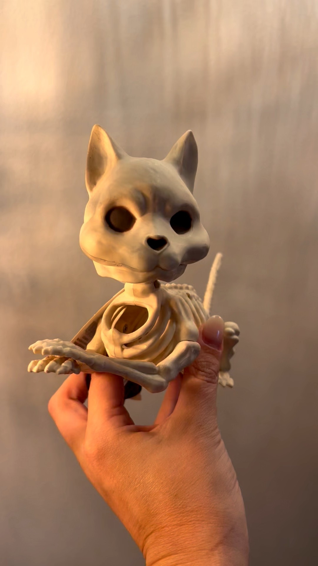 Spooky Kitty

#LTKSeasonal #LTKHome #LTKParties