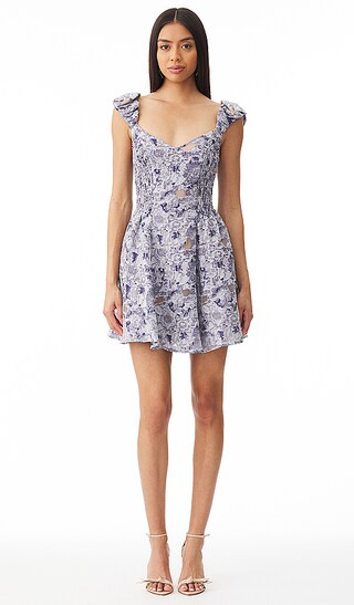 Doves Dress in Slate Blue | Revolve Clothing (Global)