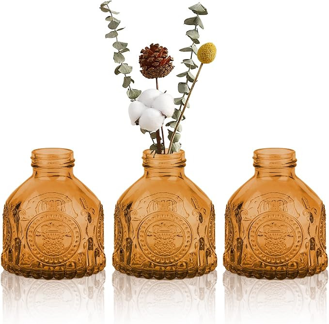 OppsArt Tiny Bud Vases for Centerpieces Set of 3 - Small Glass Clear Vase for Farmhouse Decor, Mi... | Amazon (US)