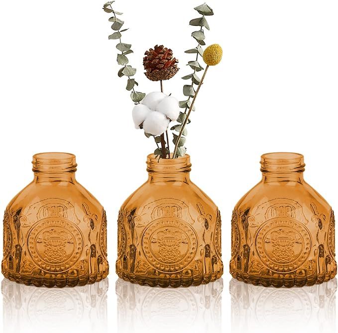 OppsArt Tiny Bud Vases for Centerpieces Set of 3 - Small Glass Clear Vase for Farmhouse Decor, Mi... | Amazon (US)