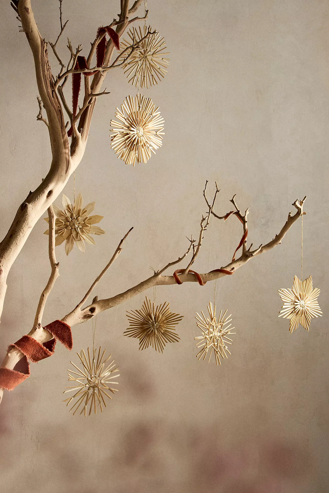 Starburst Straw Ornaments, Set of 12 | Anthropologie (US)