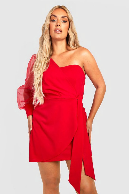 Plus Organza One Sleeve Wrap Dress | Boohoo.com (US & CA)