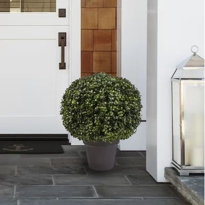 Boxwood Topiary in Planter Pure Garden | Wayfair North America