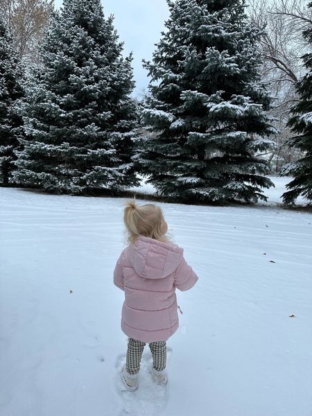 Toddler puffer jacket, love this one & it’s on sale for cyber Monday! Liv is wearing a 2T

Toddler winter coat 
Toddler coat 

#LTKkids #LTKCyberWeek