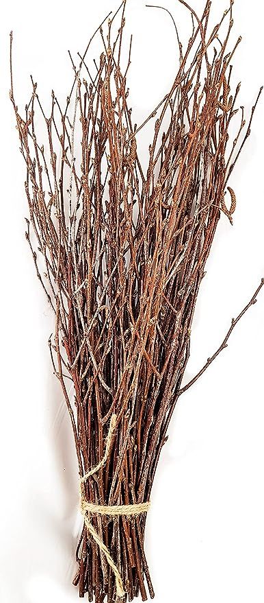50 pcs Birch Twigs, Natural Birch Branches for centerpieces, vases. Birch Sticks for Crafts | Amazon (CA)