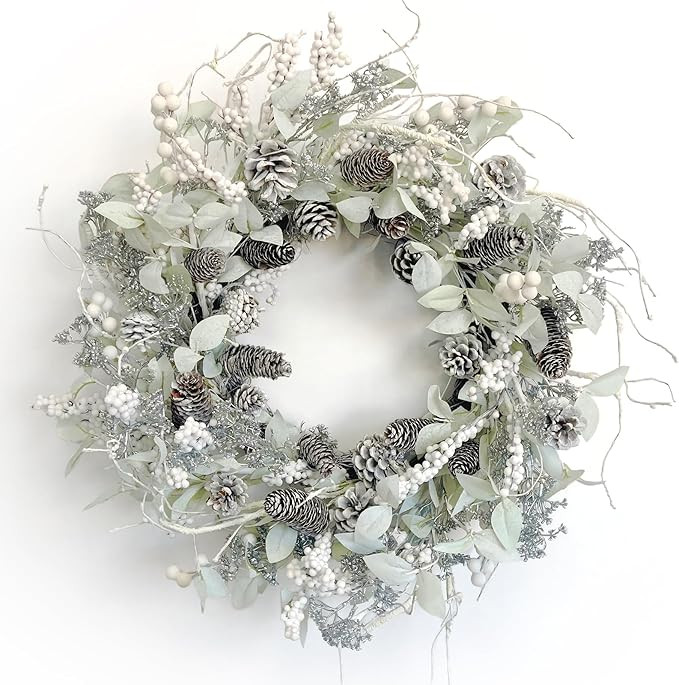Winter Front Door Wreath 26 Inch Winter Birch Wreath White Berry Wreath with Iced Pine Cones, Hol... | Amazon (US)
