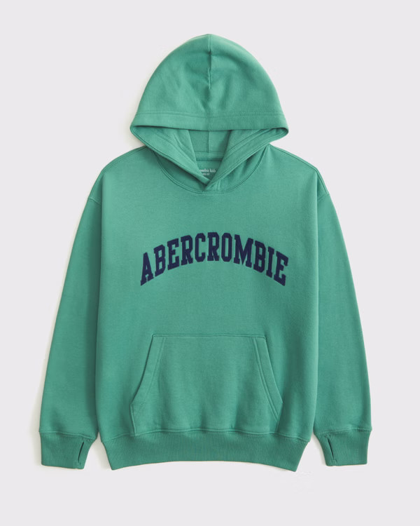 logo popover hoodie | Abercrombie & Fitch (US)