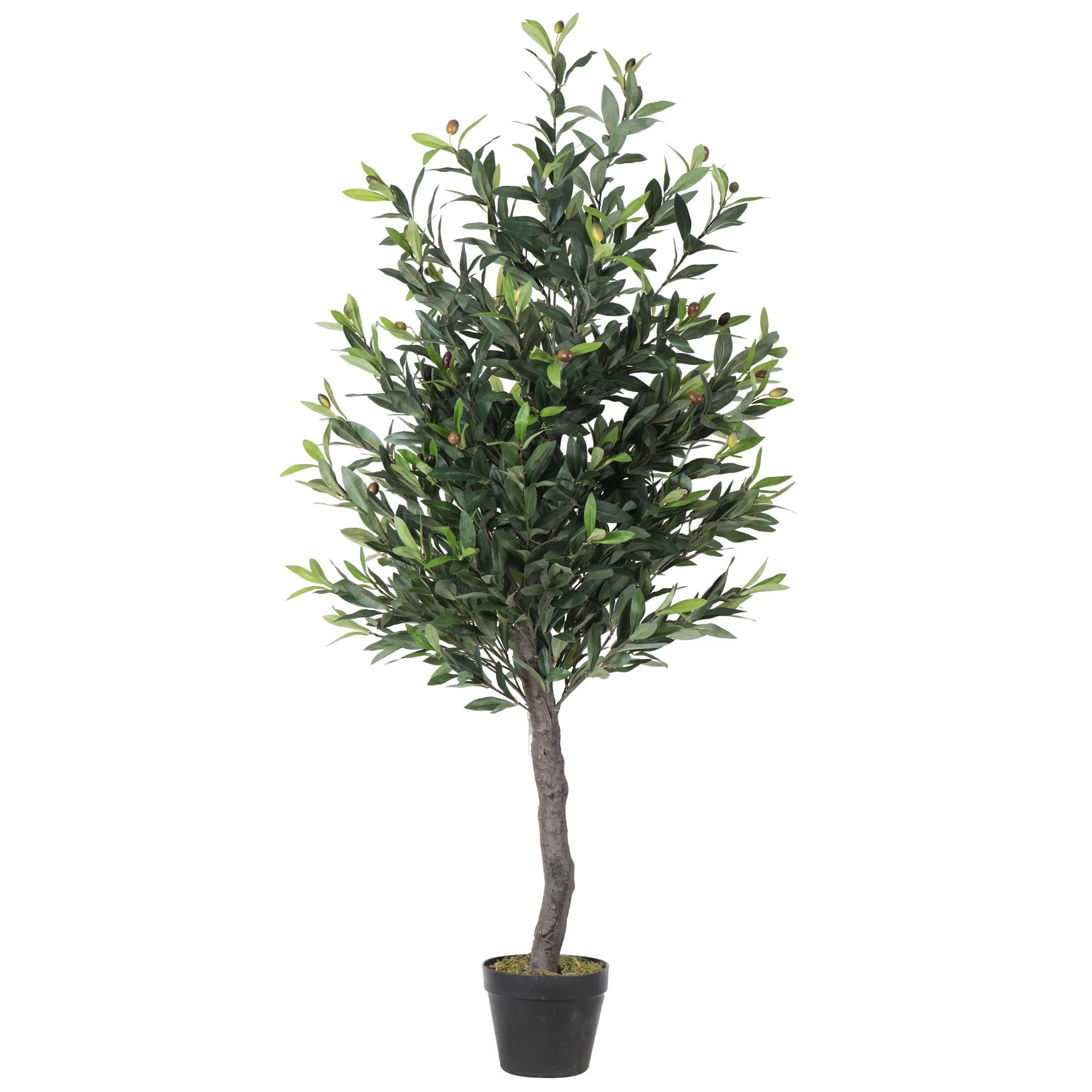 Vickerman 50" Artificial Olive Tree in Black Plastic Pot - Walmart.com | Walmart (US)