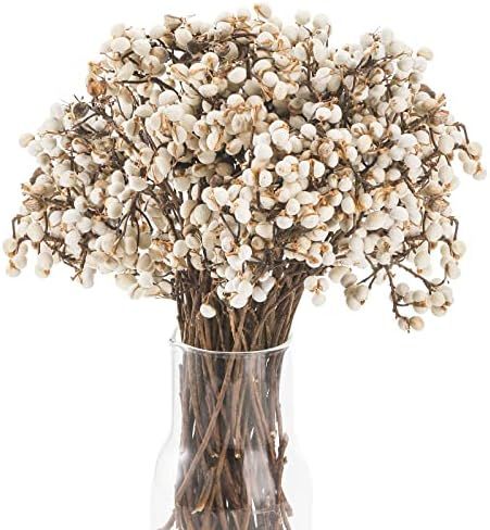 YOUEON 250G Tallow Berries Dried, Dried Flowers Natural Plant DIY, Natural Stem Bouquet for Home,... | Amazon (US)
