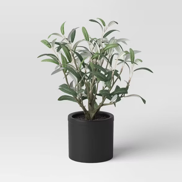 Artificial Medium Olive Plant in Ceramic Pot - Threshold™ | Target