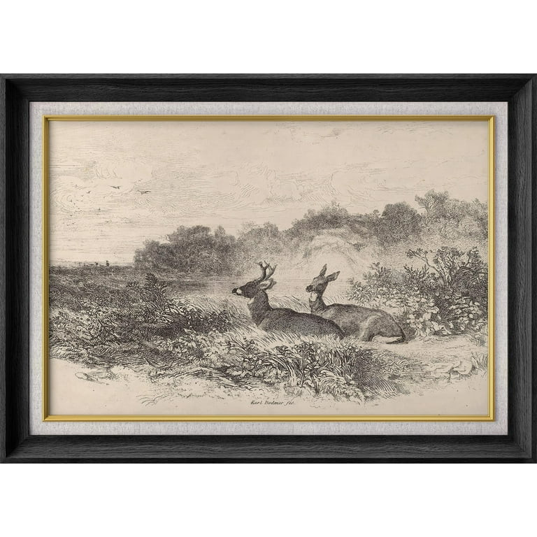 IDEA4WALL Premium Frame Wall Art Sketch Deer Duo in Wilderness Classic Art Nature Wildlife Vintag... | Walmart (US)