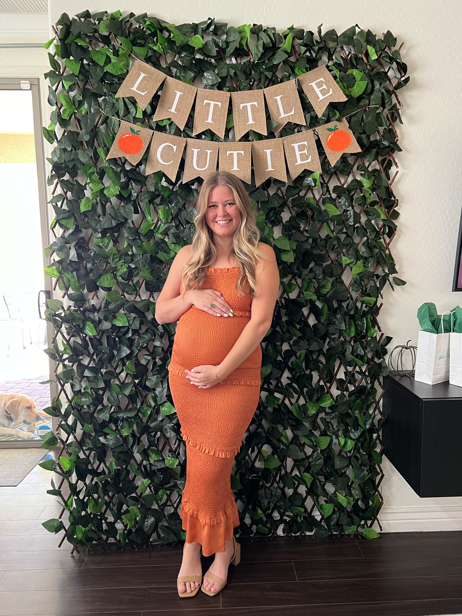Baby shower dress from pink blush maternity 🍊🤍


#LTKbaby #LTKbump #LTKfamily