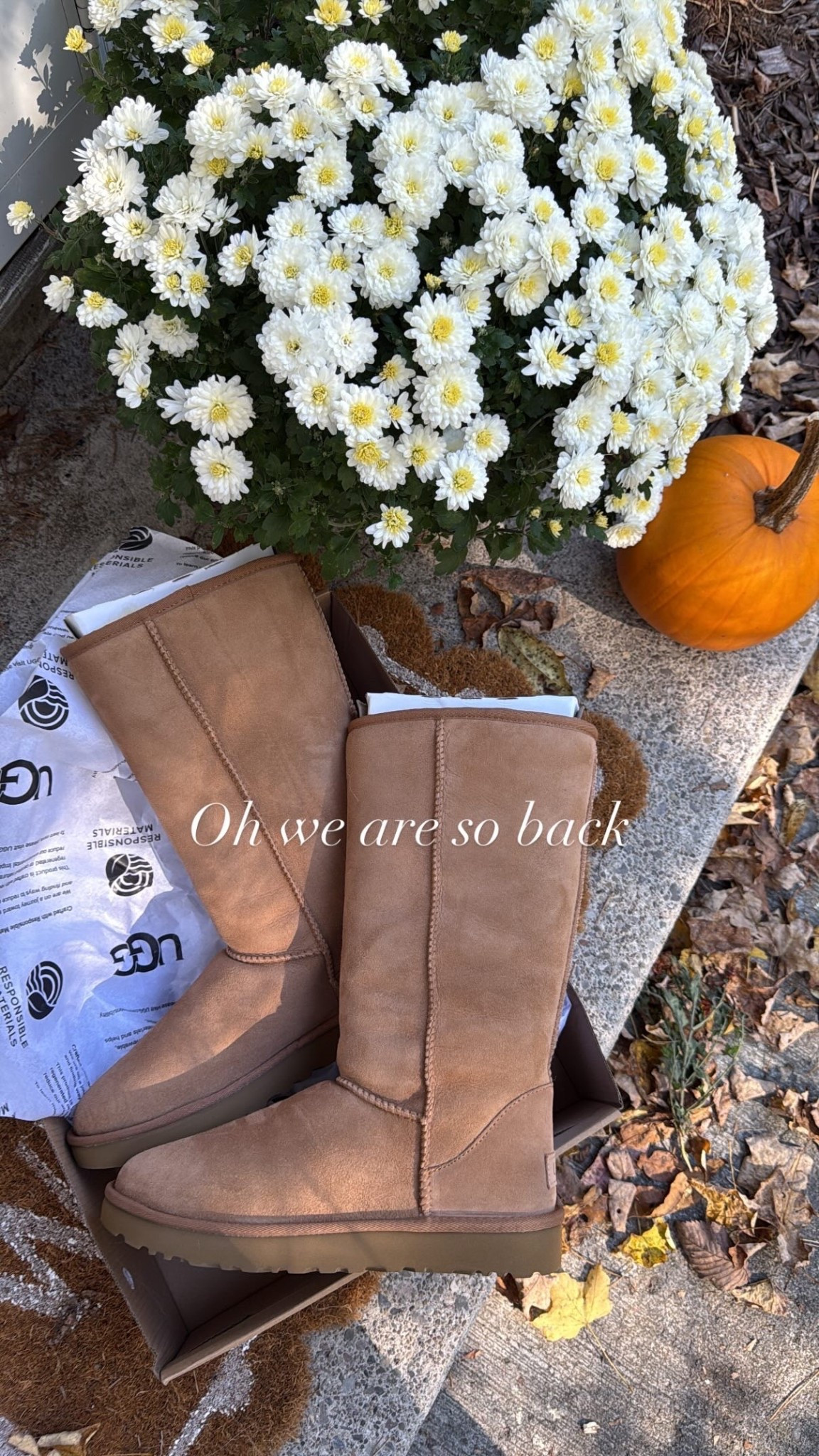 Uggs, Ugg boots, tall Uggs, trend, fall 2025 trend, cozy, cozy girl fall 

#LTKSeasonal #LTKShoeCrush