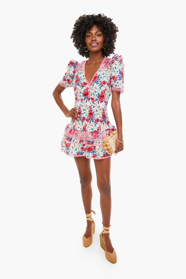 Rena Mini Dress | Tuckernuck (US)