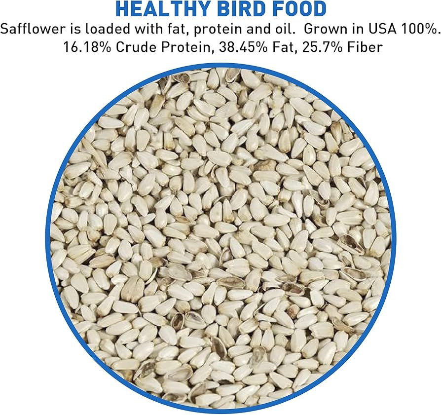 Safflower Bird Seed Wild Bird Food – Great for Cardinals, Chickadees, Titmice, Doves, Woodpecke... | Amazon (US)