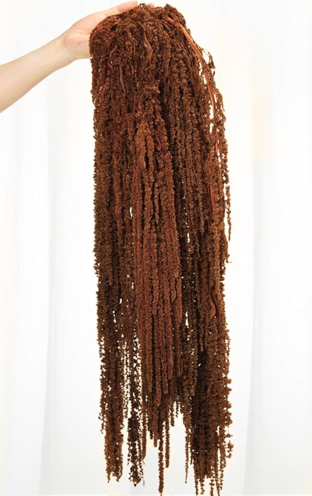 Jtoder 5Pcs Dried Amaranthus Hanging Flowers, Natural Preserved Flower for Wedding Arch, Exhibiti... | Amazon (US)