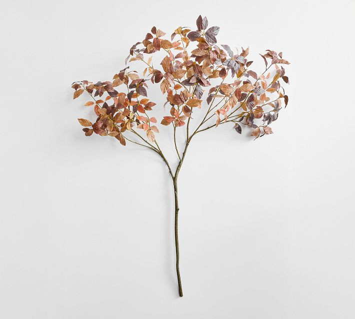 Faux Oversized Chocolate Leaf Branch | Pottery Barn (US)