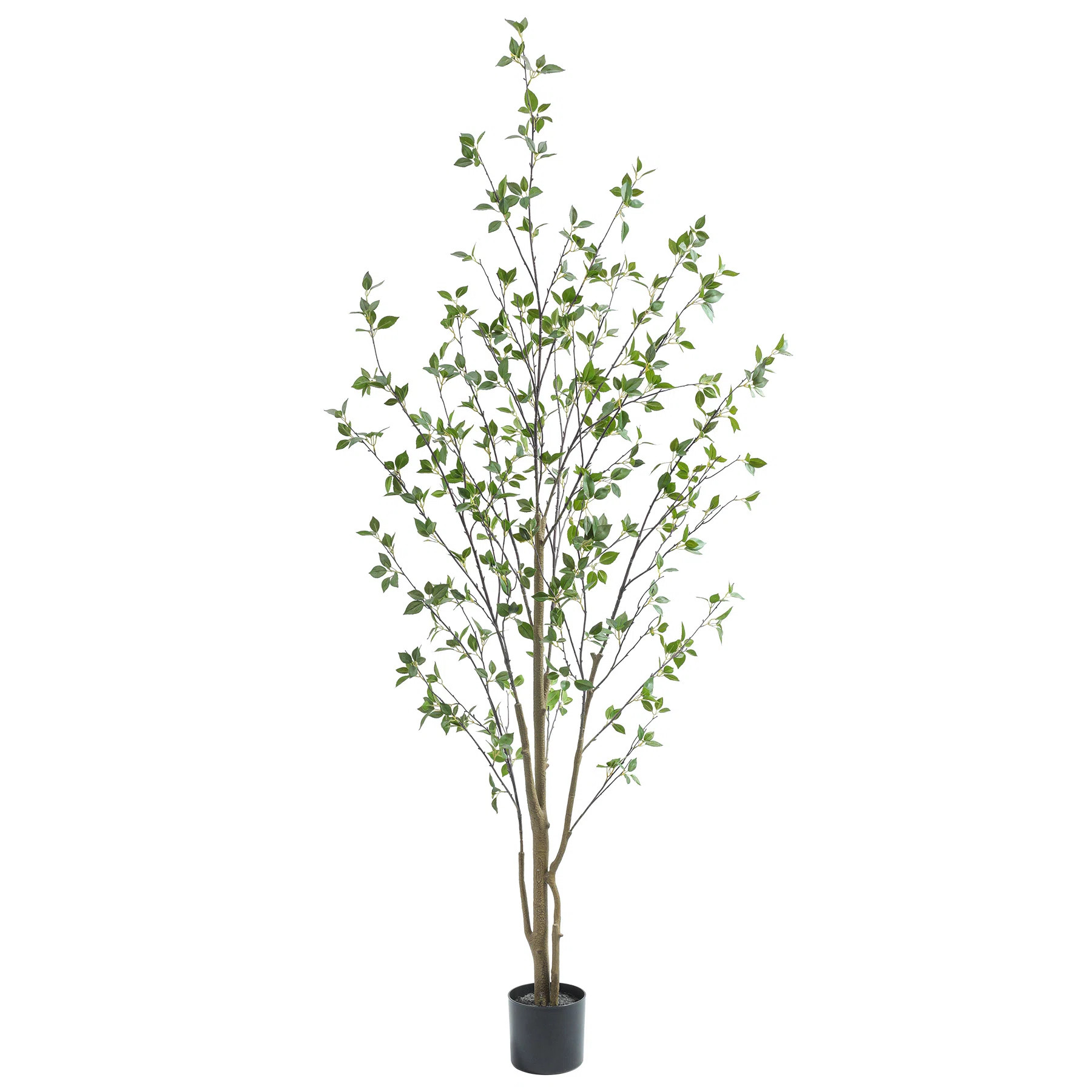 Minimalist Artificial Citrus Tree for Home Office Living Room Bedroom Porch Decor | Wayfair North America