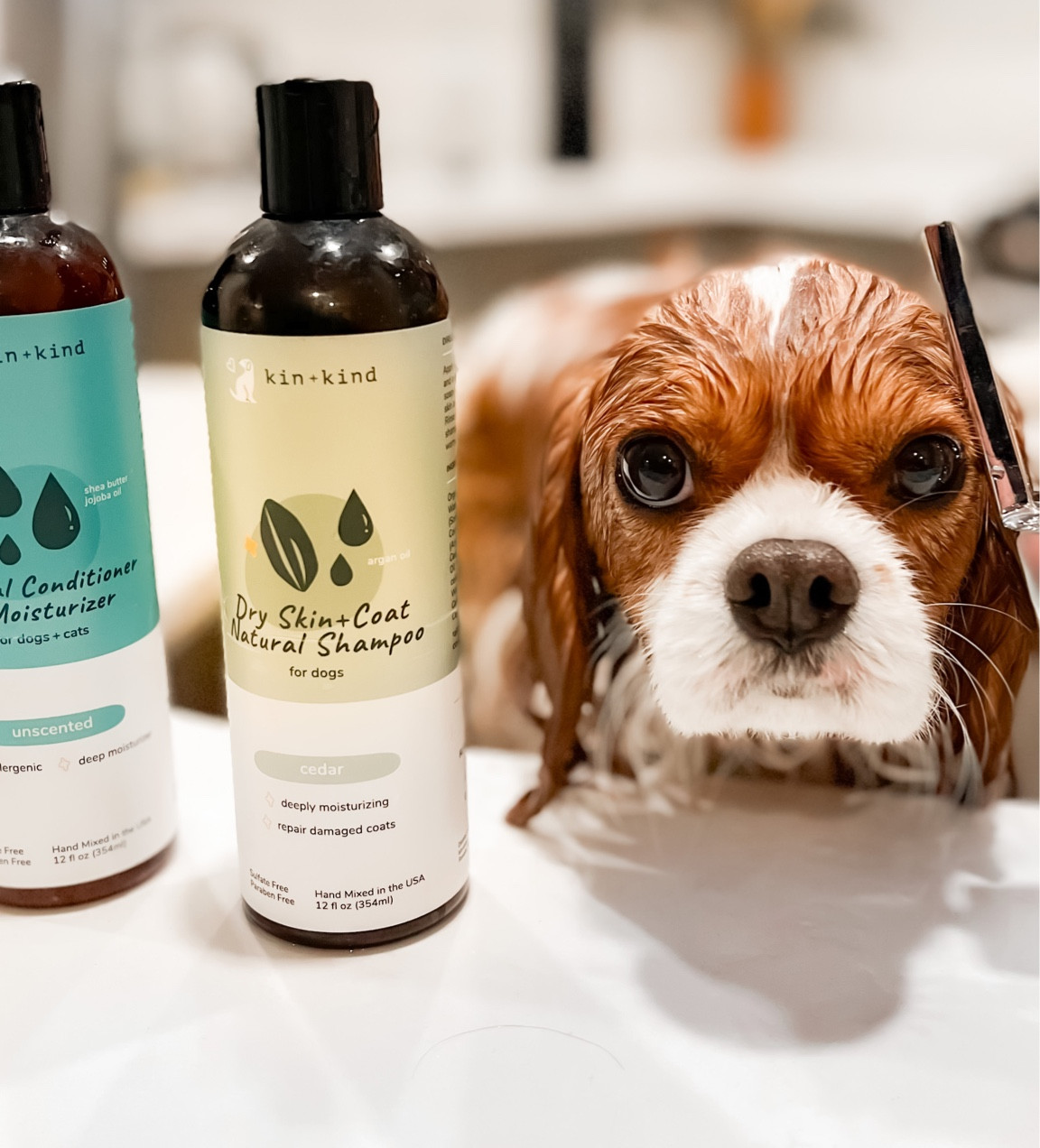 Travel dog grooming attachment, Dog grooming, hotel dog grooming, travel grooming, dog mom, dog must haves

#LTKFind #LTKU #LTKtravel