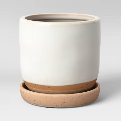 Indoor/Outdoor Earthenware Planter - Smith & Hawken™ | Target