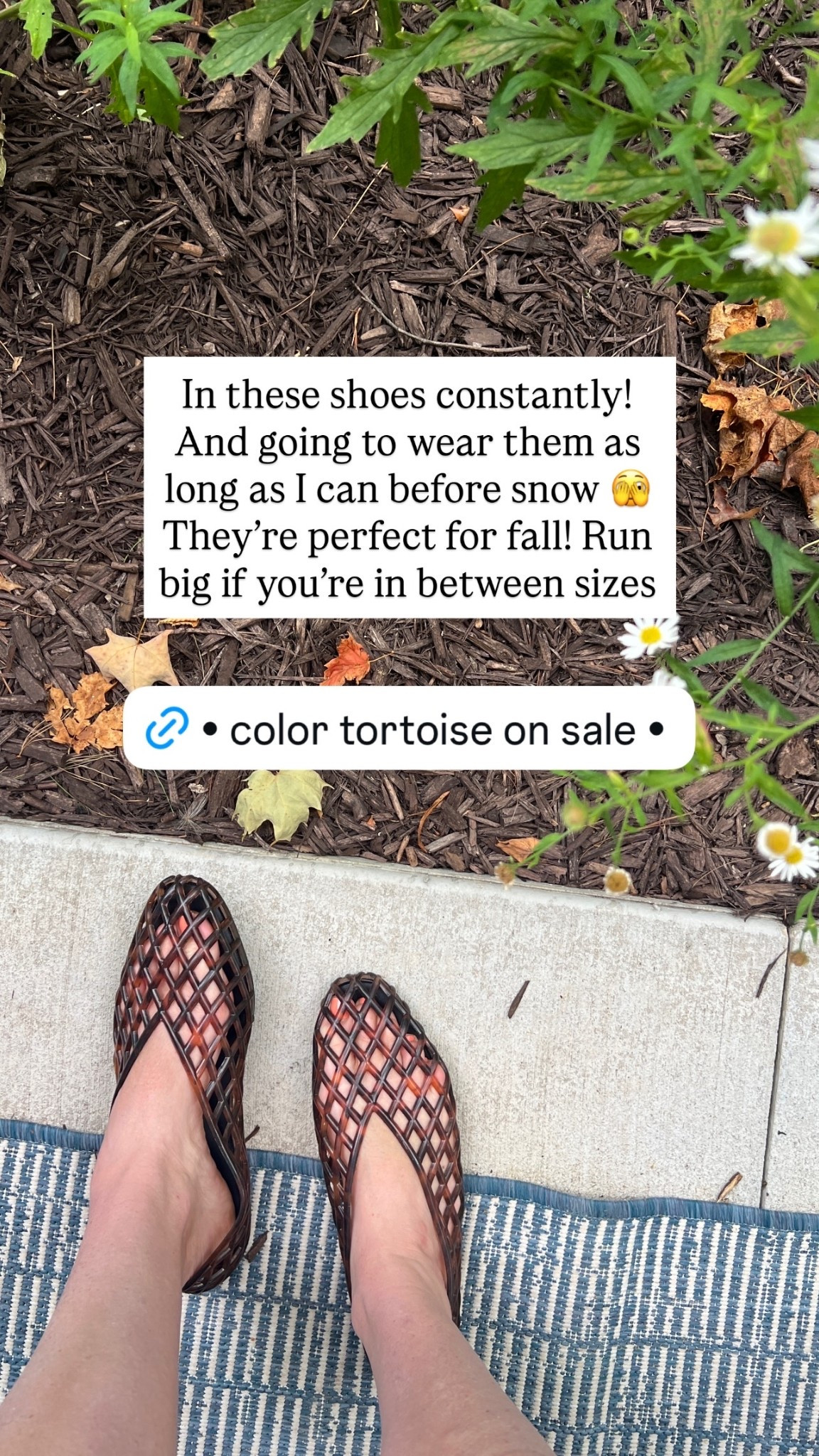 In these shoes constantly! And going to wear them as long as I can before snow 🫣 They’re perfect for fall! Run big if you’re in between sizes

#LTKHome #LTKSeasonal #LTKootd