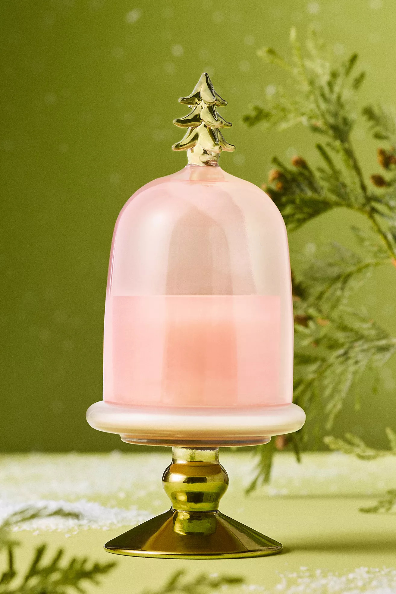 Christmas Tree Woody Crisp Cedar Glass Cloche Candle | Anthropologie (US)