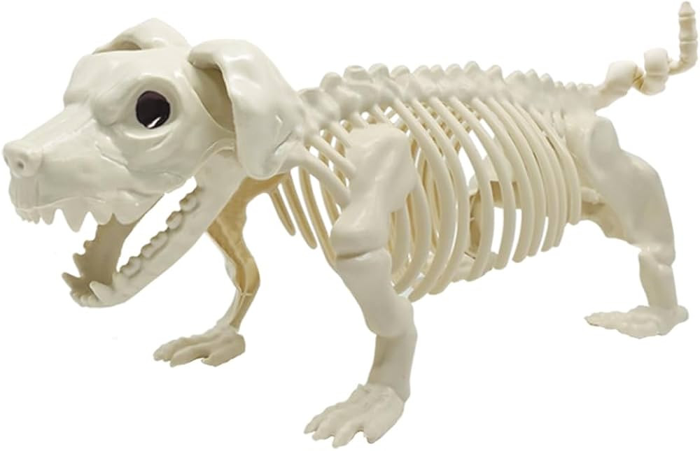 DINESIL Halloween Decoration Skeleton Dog, Skeleton Animal Plastic Puppy with Posable Joints for ... | Amazon (US)