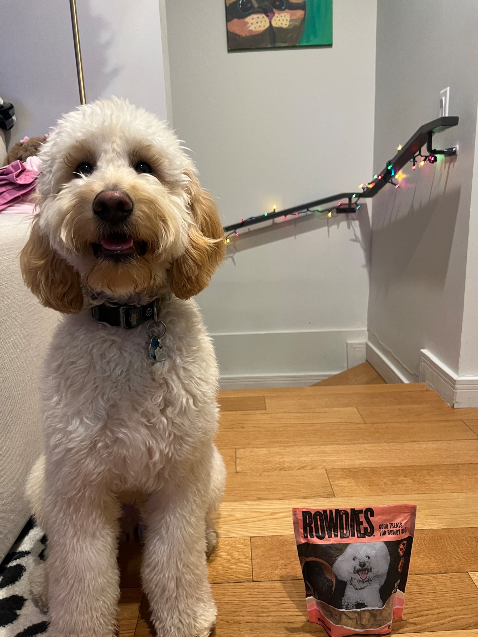 #AD Biscuit approved! 🐶
Rowdies are our go-to affordable treats that he loves and we love too!

#RowdiesDogTreats #RowdiesPartner #GetRowdies #TargetPartner #Target