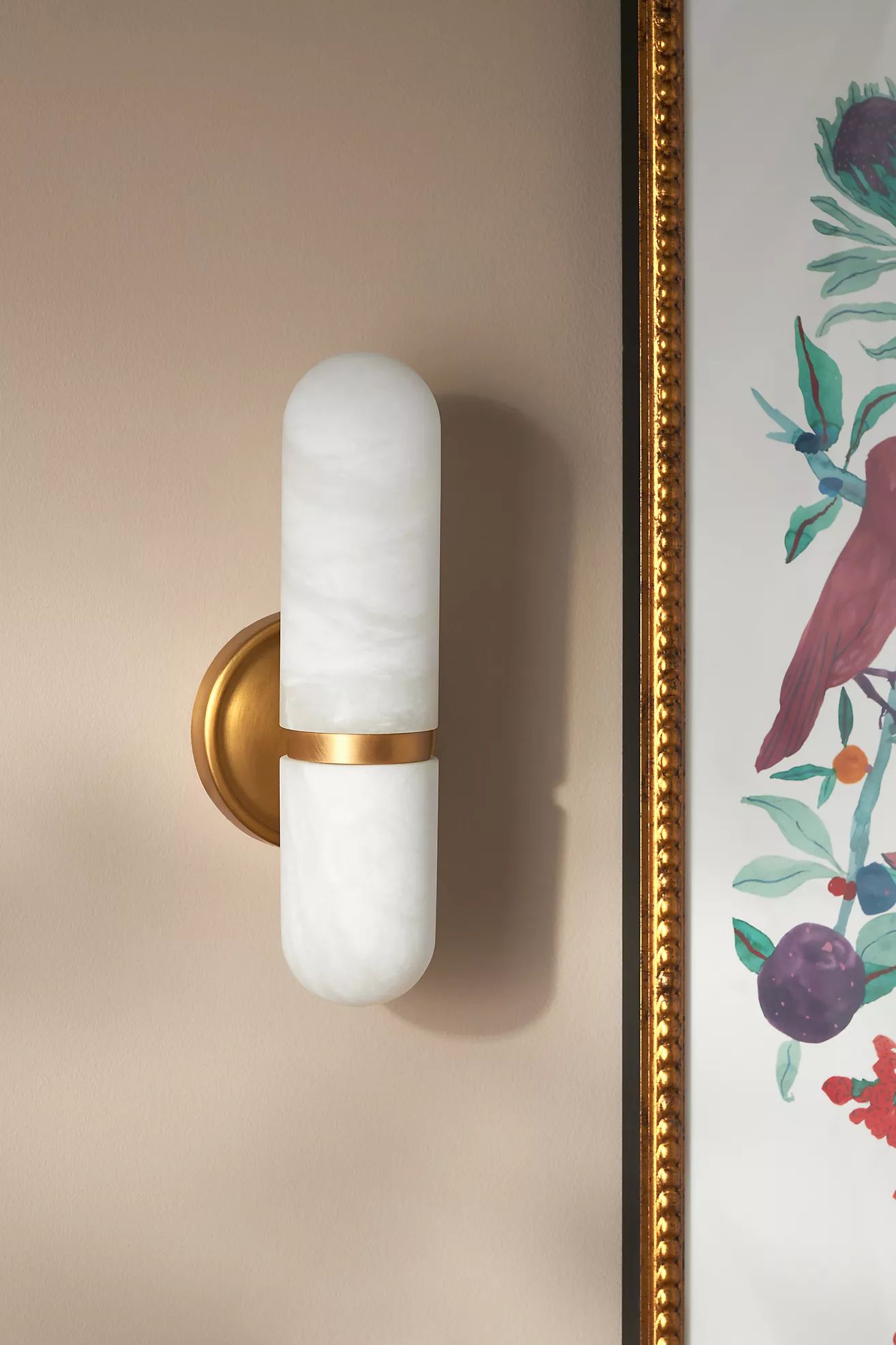 Salon Small Sconce | Anthropologie (US)