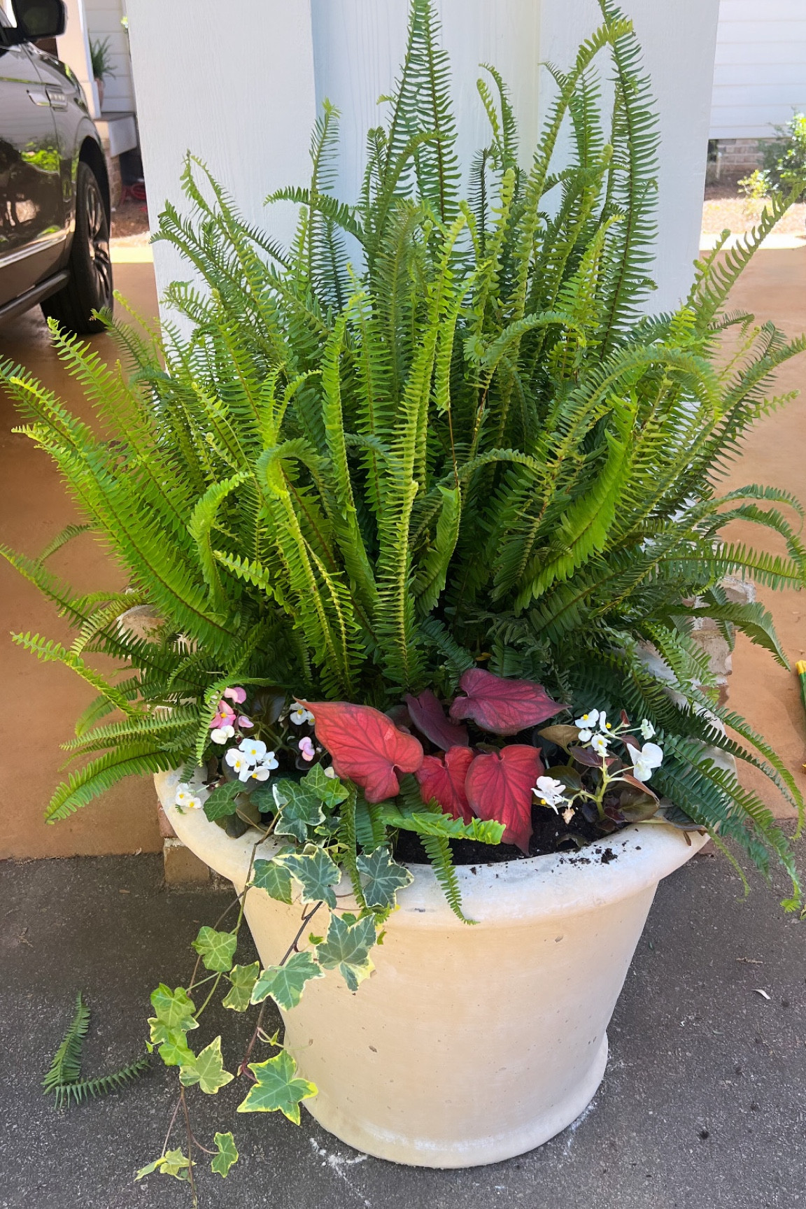 Getting all ready for spring over here 🥰🥰

#LTKhome 

#LTKSeasonal