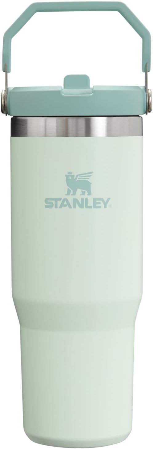 Stanley IceFlow Flip Straw Tumbler with Handle 30 oz | Twist On Lid and Flip Up Straw | Leak Resi... | Amazon (US)