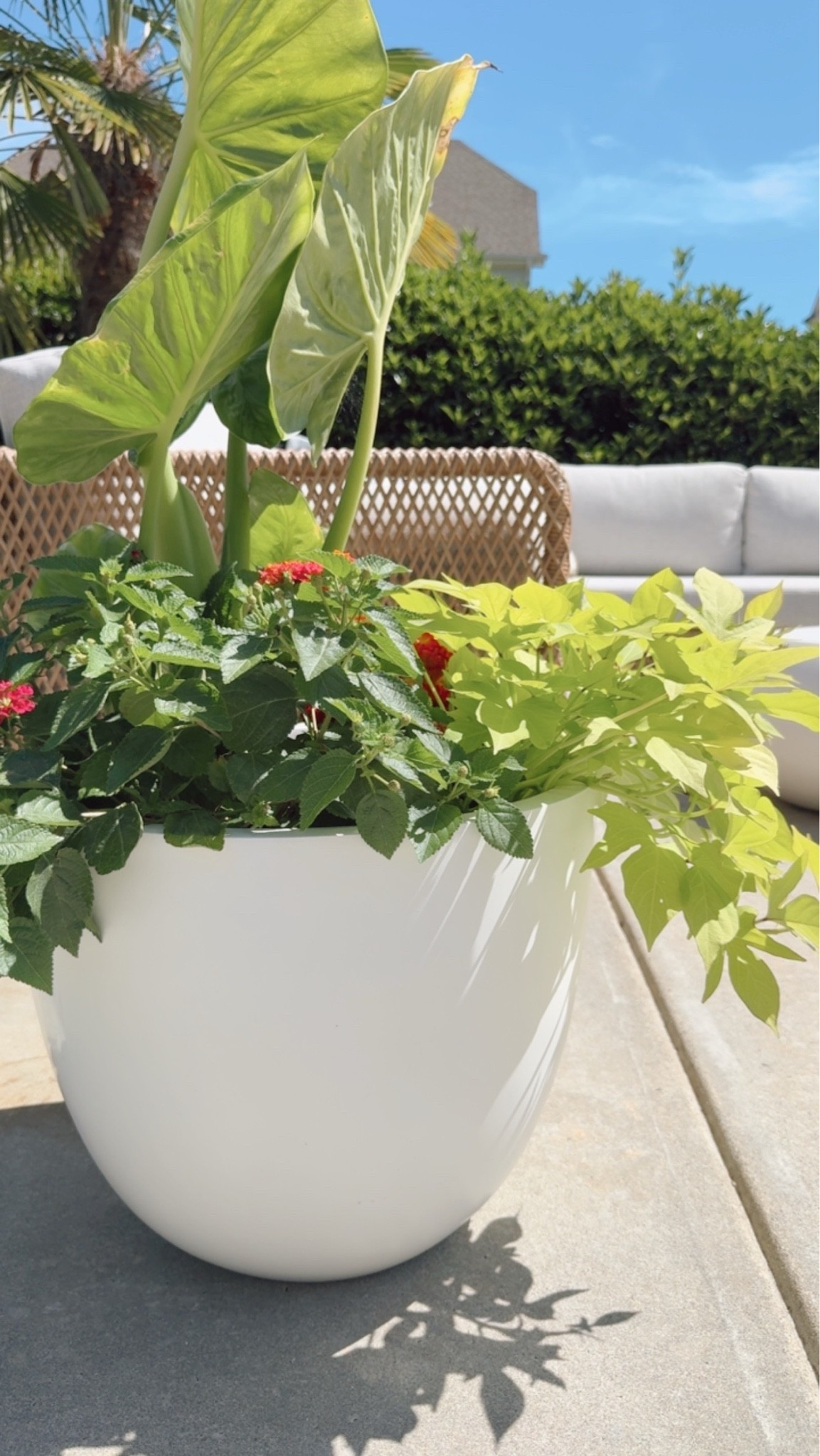 #AD @wayfair #wishyouwerehere #outdoor #Wayfair #WayfairPartner 

Huge impact. Surprisingly lightweight.

These planters are durable, weather-resistant + many shapes are on sale!