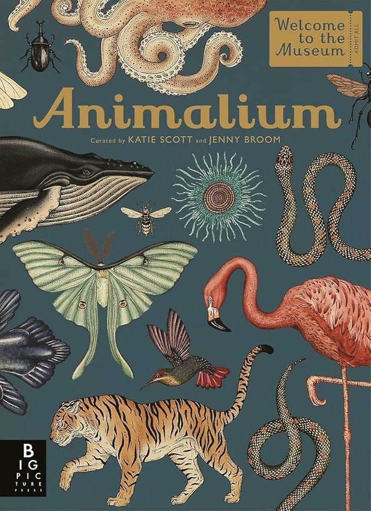 Animalium | Amazon (US)