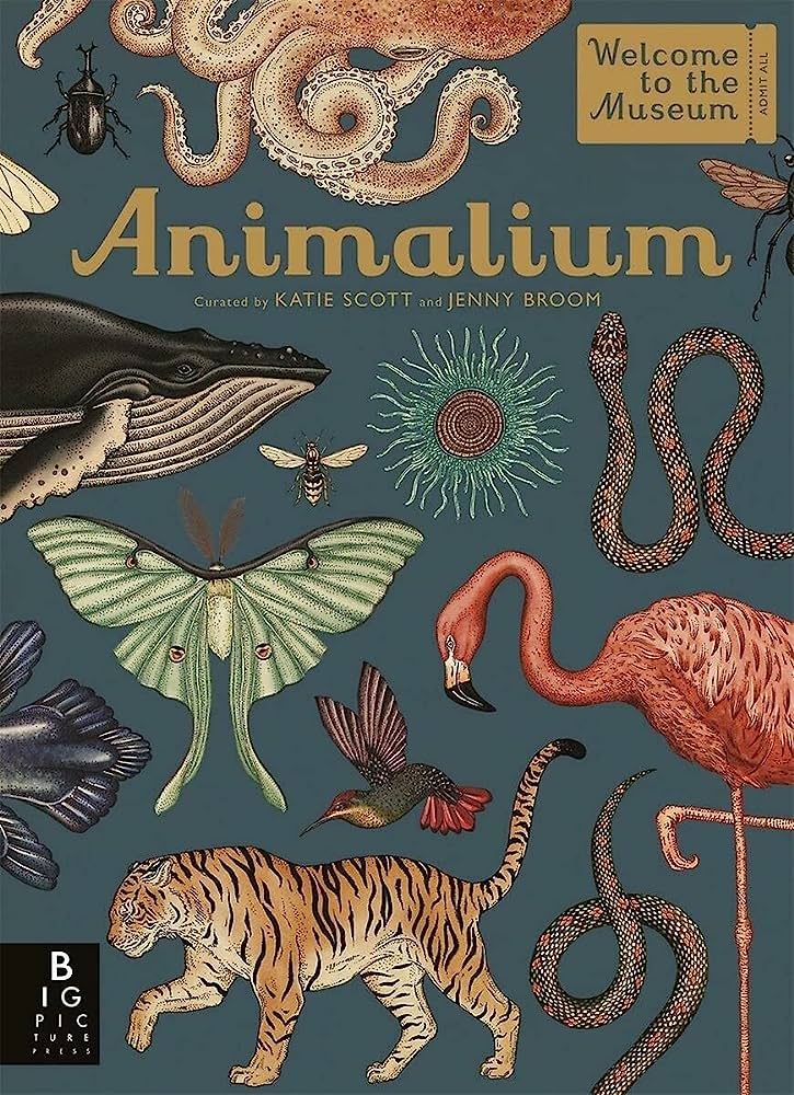 Animalium | Amazon (US)