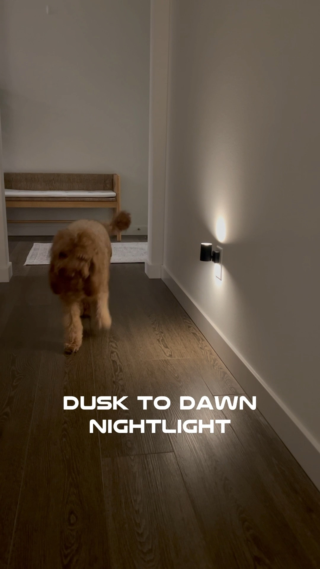 Winter nights hit different when it’s dark by 4pm, freezing outside, and the Christmas lights are packed away 🥶
These little night lights are doing the most right now—soft glow, cozy vibes, and zero effort. Exactly what our home needed ✨

#LTKHome