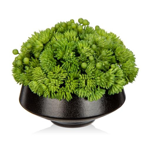 Briful Succulents Plants Artificial in Ceramic Pots Fake Succulent Arrangement with Black Bowl Planter Large Faux Succulent Plants for Home Bathroom Shelf Desk Table Indoor Decor | Amazon (US)