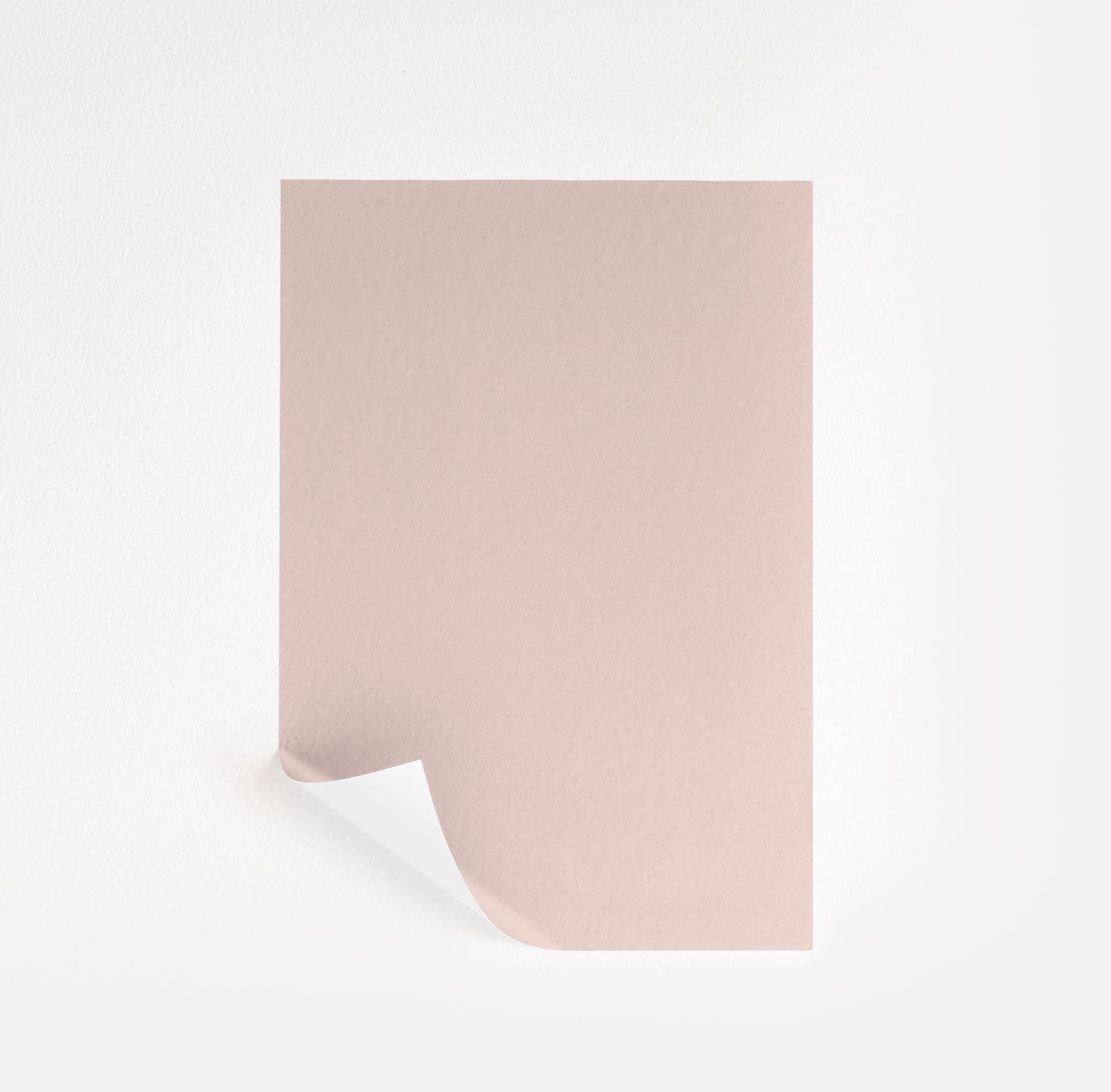 Pleasant Pink | Samplize
