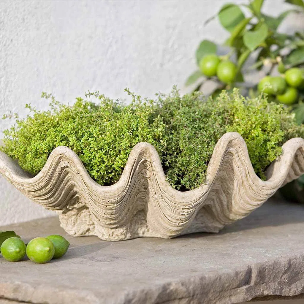 Campania International South Seas Cast Stone Pot Planter & Reviews - Wayfair Canada | Wayfair North America