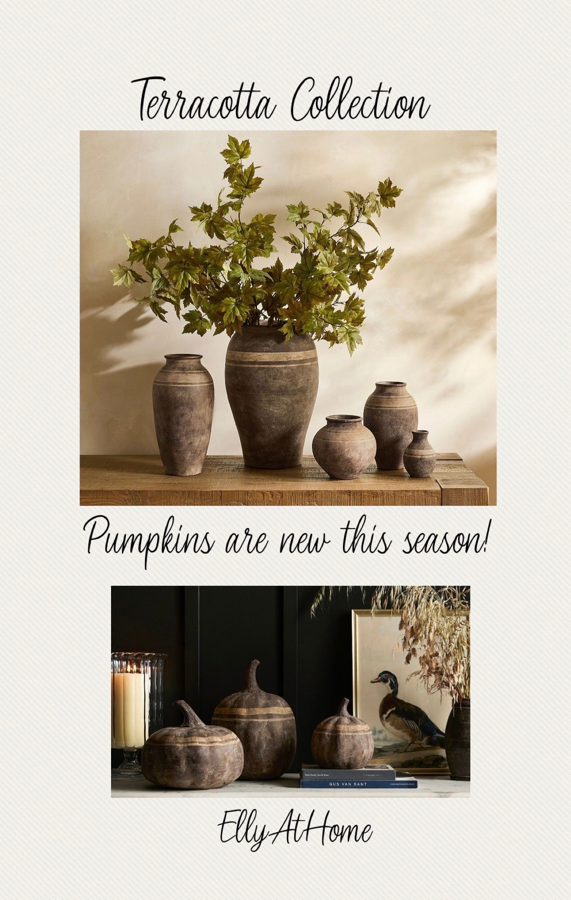 Brown striped terracotta vase collection and new for this fall, pumpkins! Shop stems, florals, some on clearance, more fall, Halloween finds+ decor!

#LTKHome #LTKSaleAlert #LTKSeasonal